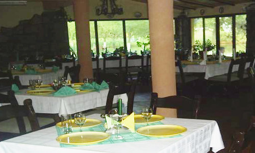 Asociatia Rebeca - foto 10