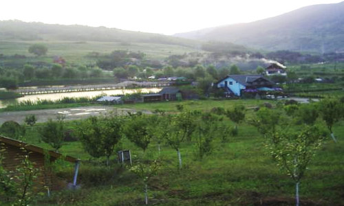 Asociatia Rebeca - foto 2