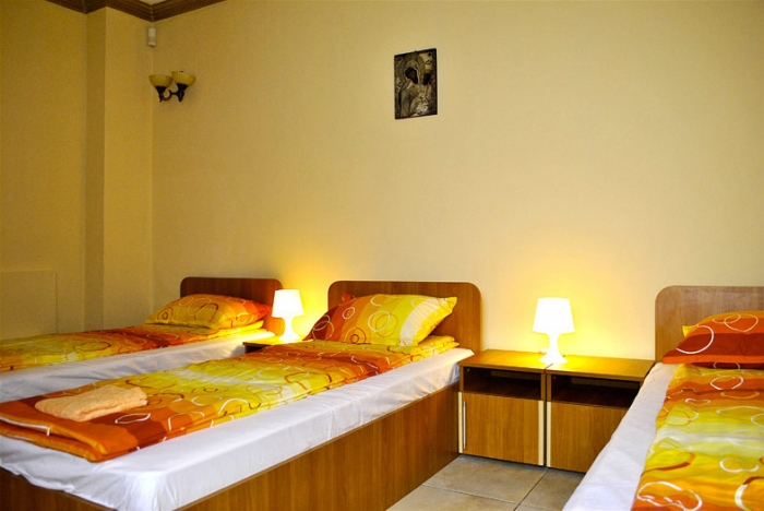 Asociatia Sf. Nicolae si Sf. Alexandru - foto 14