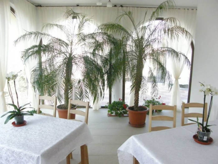 Camin Colosseum - foto 13