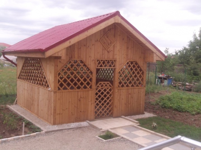 Camin de Batrani - Buni Snad