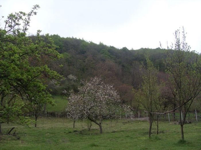 Camin Fundatia Casa Lor