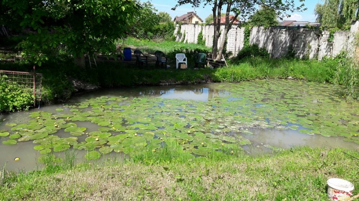 Camin Pentru Batrani Zile Senine