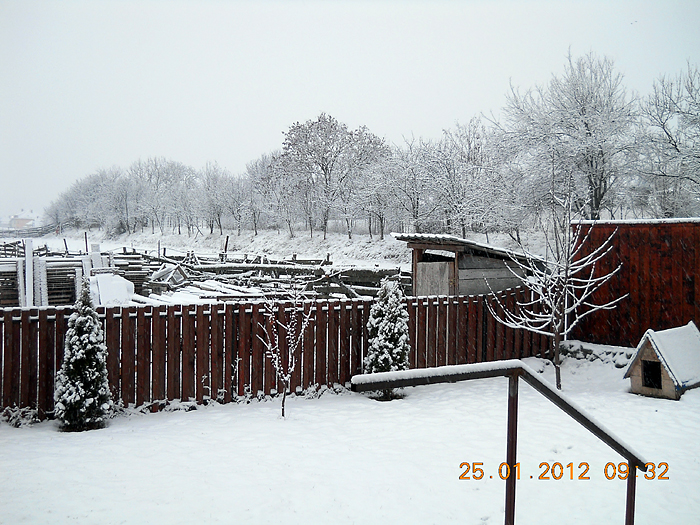 Camin varstnici Fileo - foto 19