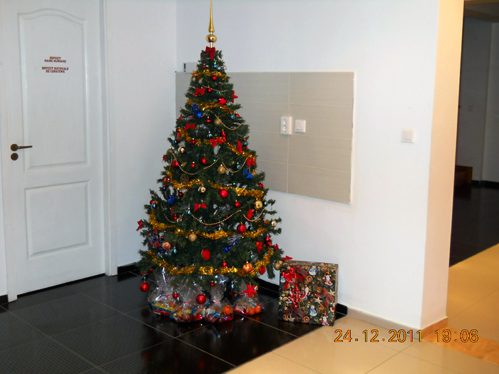 Camin varstnici Fileo - foto 2