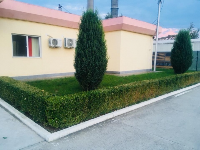 Căminul De Bătrâni Visele Bunicilor - foto 6