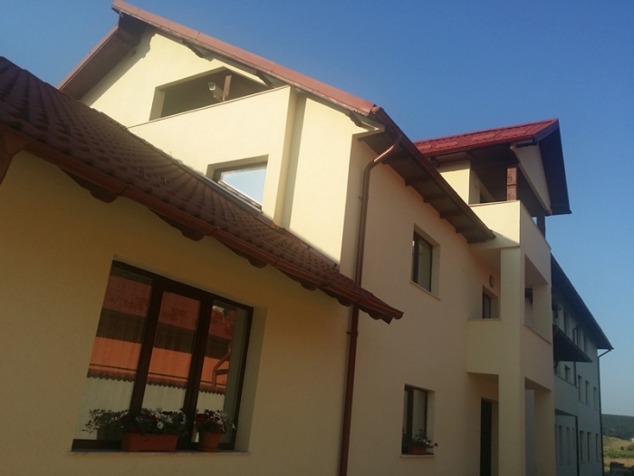 Caminul Dr. Georgescu - foto 2