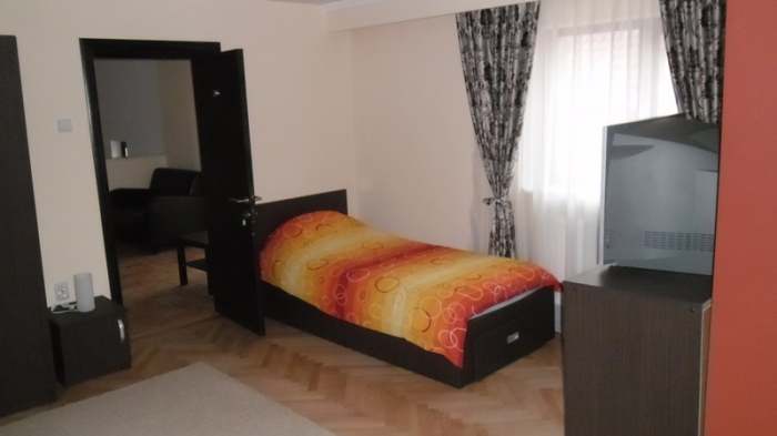 Caminul Dr. Georgescu - foto 5