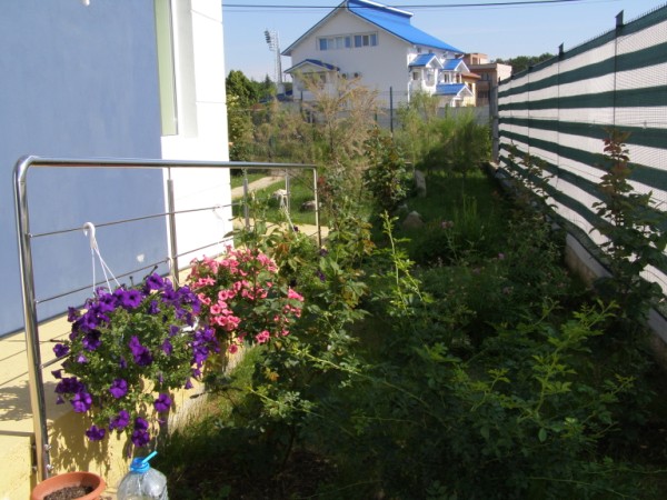 Caminul pentru Batrani Casa Hedviga - foto 3