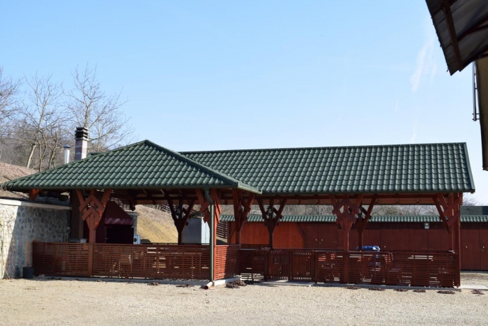 Căminul Pentru Vârstnici Aroma De Primavară - foto 18