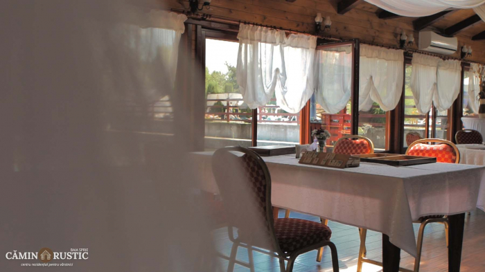 Căminul Rustic Baia Sprie - foto 5