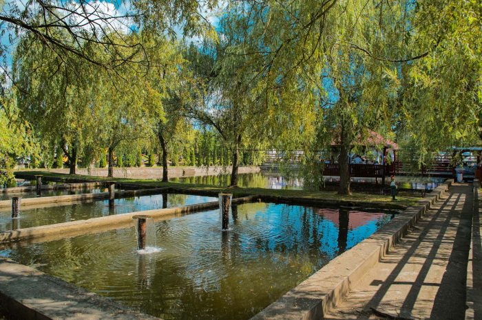 Căminul Rustic Baia Sprie - foto 4