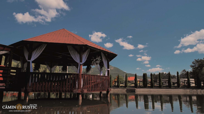 Căminul Rustic Baia Sprie - foto 6