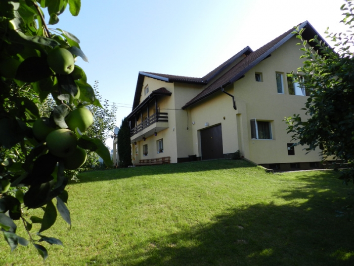 Caminul Sfanta Elena - foto 22