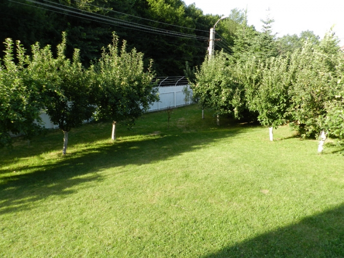 Caminul Sfanta Elena - foto 24