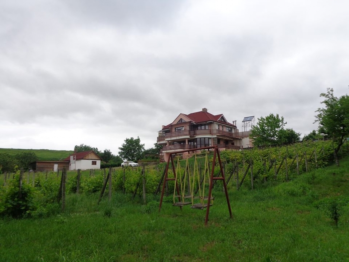 Caminul Viata Linistita