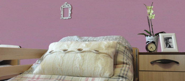 Căminul Villa Orchidea - foto 10