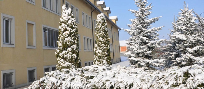 Căminul Villa Orchidea - foto 3