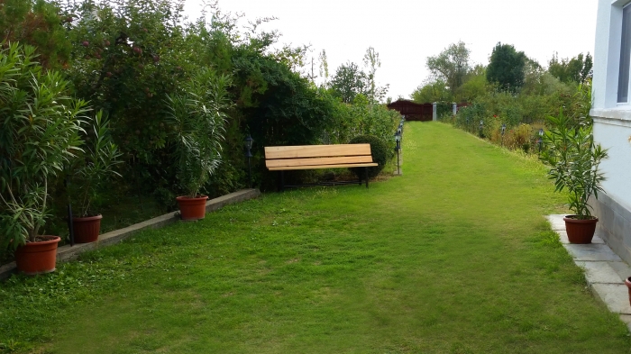 Casa Bunicilor Dâmbovița - foto 9