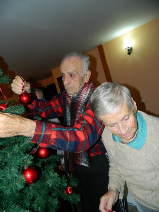 Casa Bunicilor Mureș - foto 9