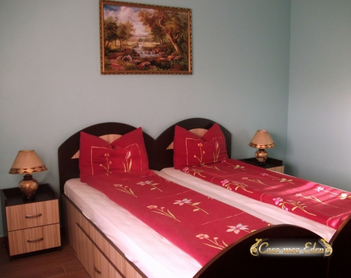 Casa Mea Eden - foto 16