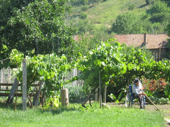 Casa Veronica - foto 19