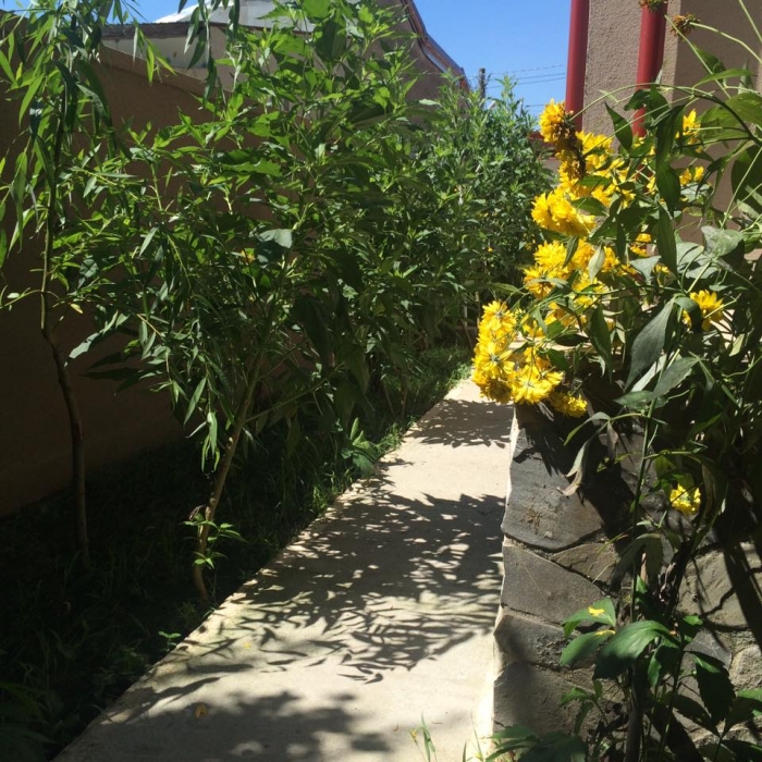 Centrul de Ingrijire Batrani Sfantul Anton