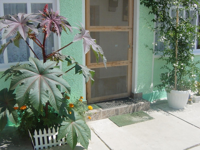 Centrul pt. Persoane in Varsta Gianina - foto 5