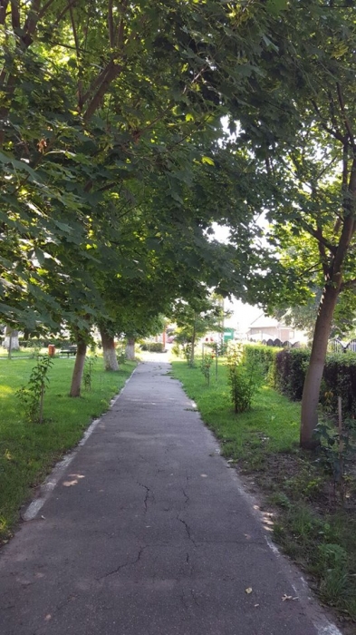 Centrul Rezidential Casa Bunicilor - foto 3