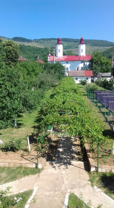 Complexul de Ingrijire si Asistenta Dobrita