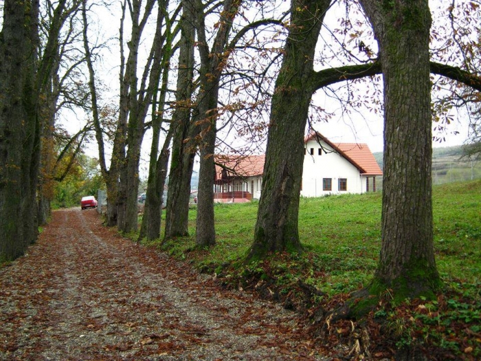 Fundaţia Ciobanca S.o.s. - foto 3