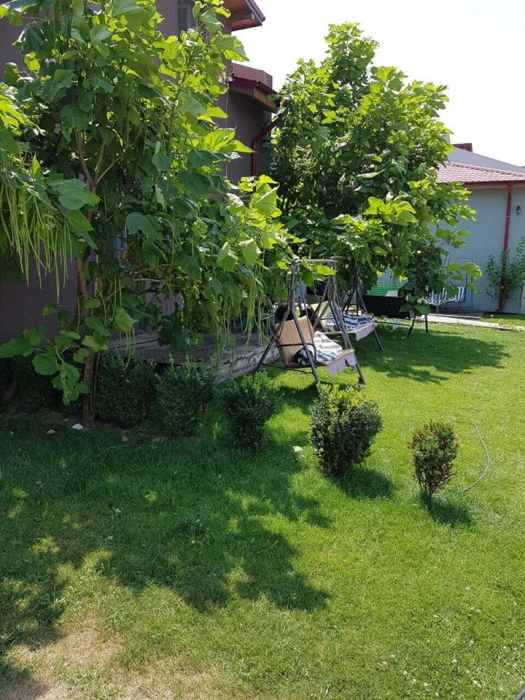 Mosia Bunicilor - foto 3