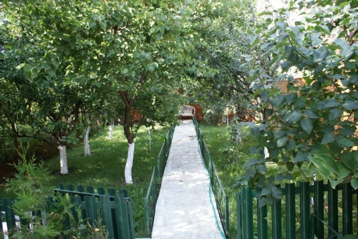 Nestor Center House - foto 1