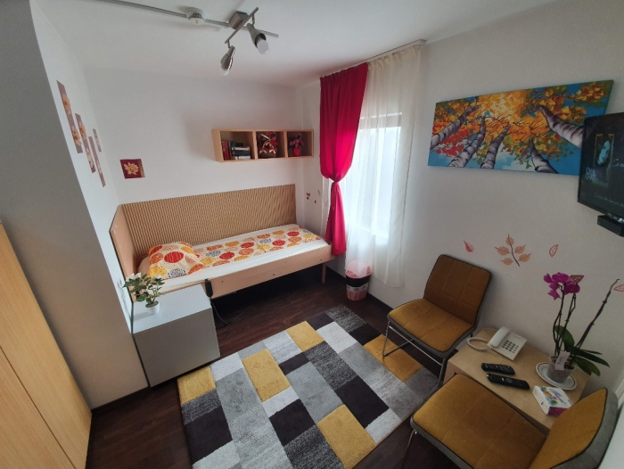 Reședința Victoria - foto 5