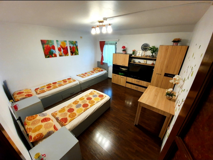 Reședința Victoria - foto 3