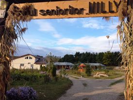 Satul Seniorilor Milly - foto 2